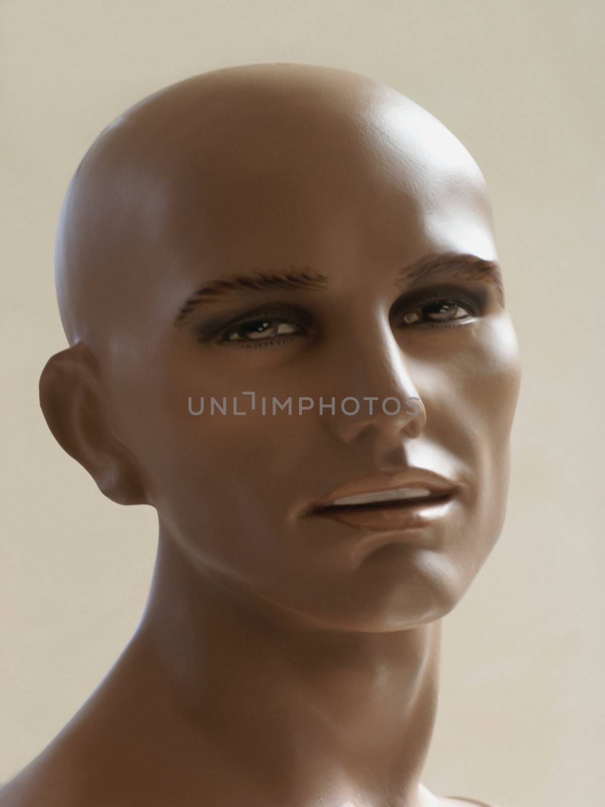 Isolated head of a male dummy.