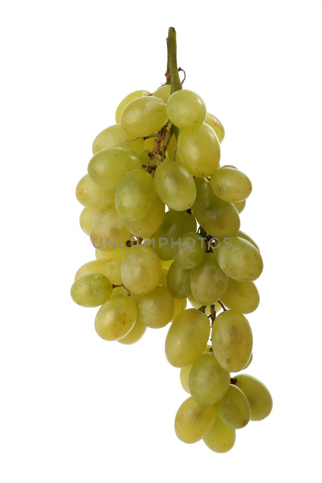 Big bunch of juicy grapes against a white background