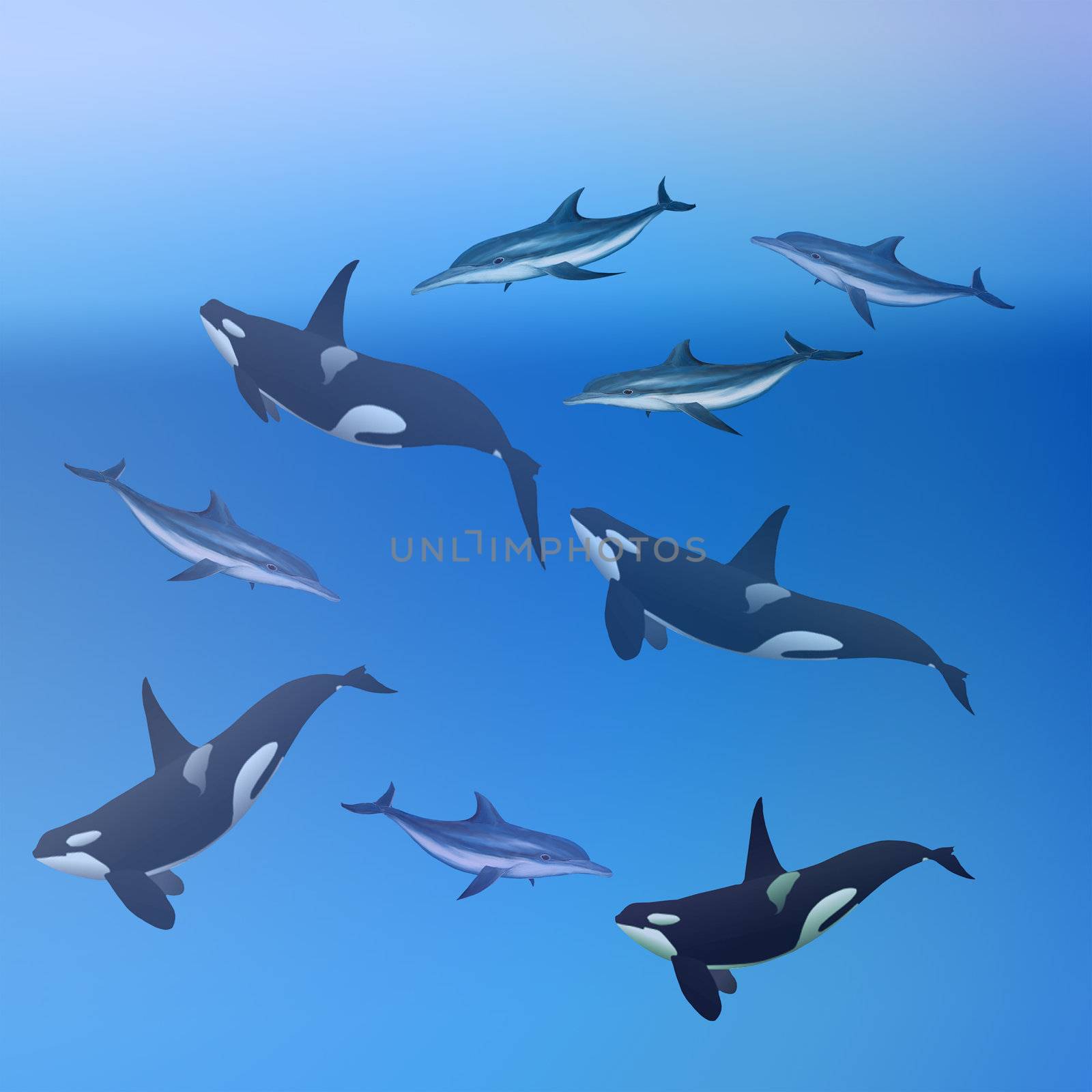 Whales and Dolphins Background by hicster
