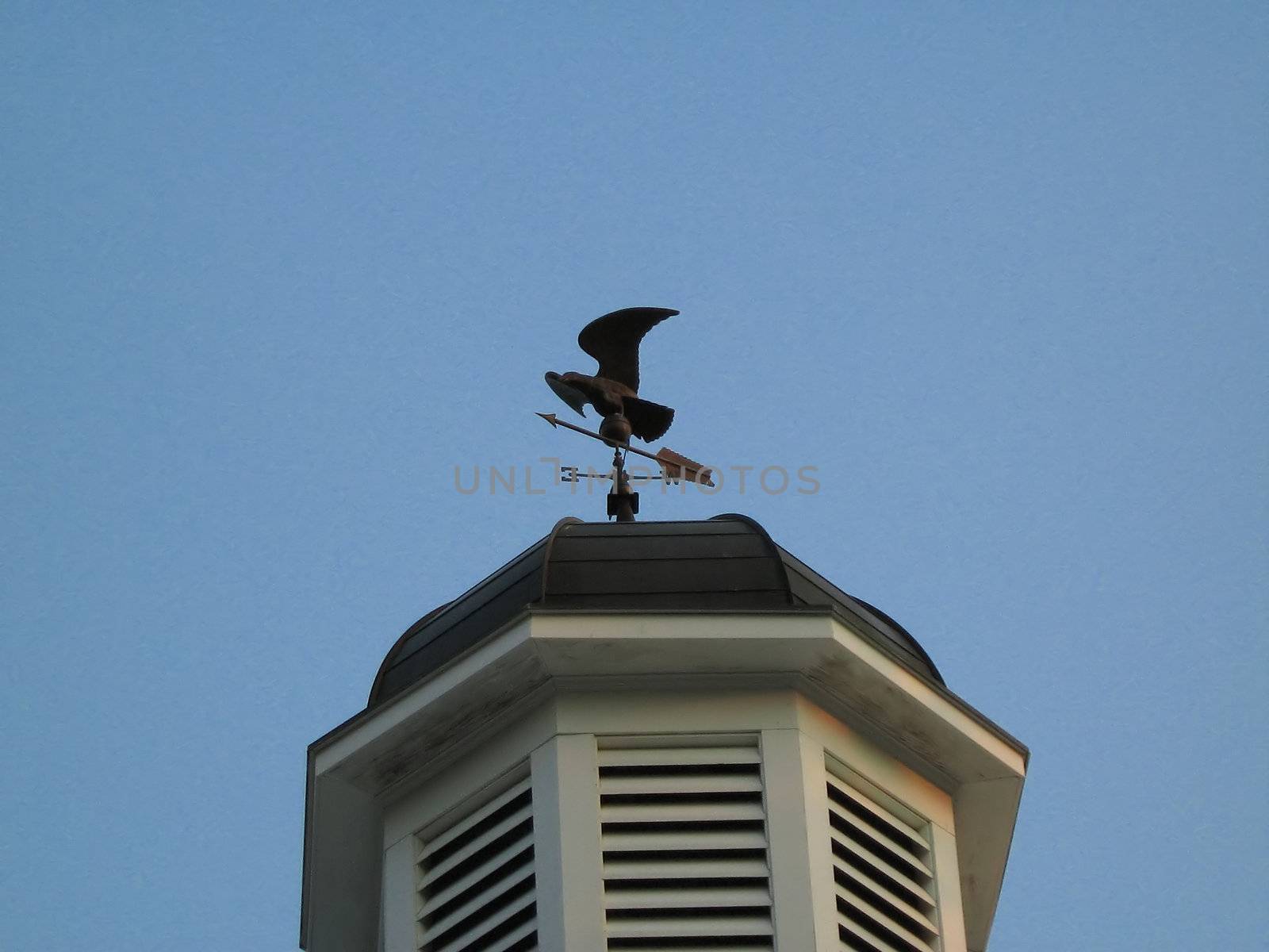 Cupola With Weather Vane by llyr8