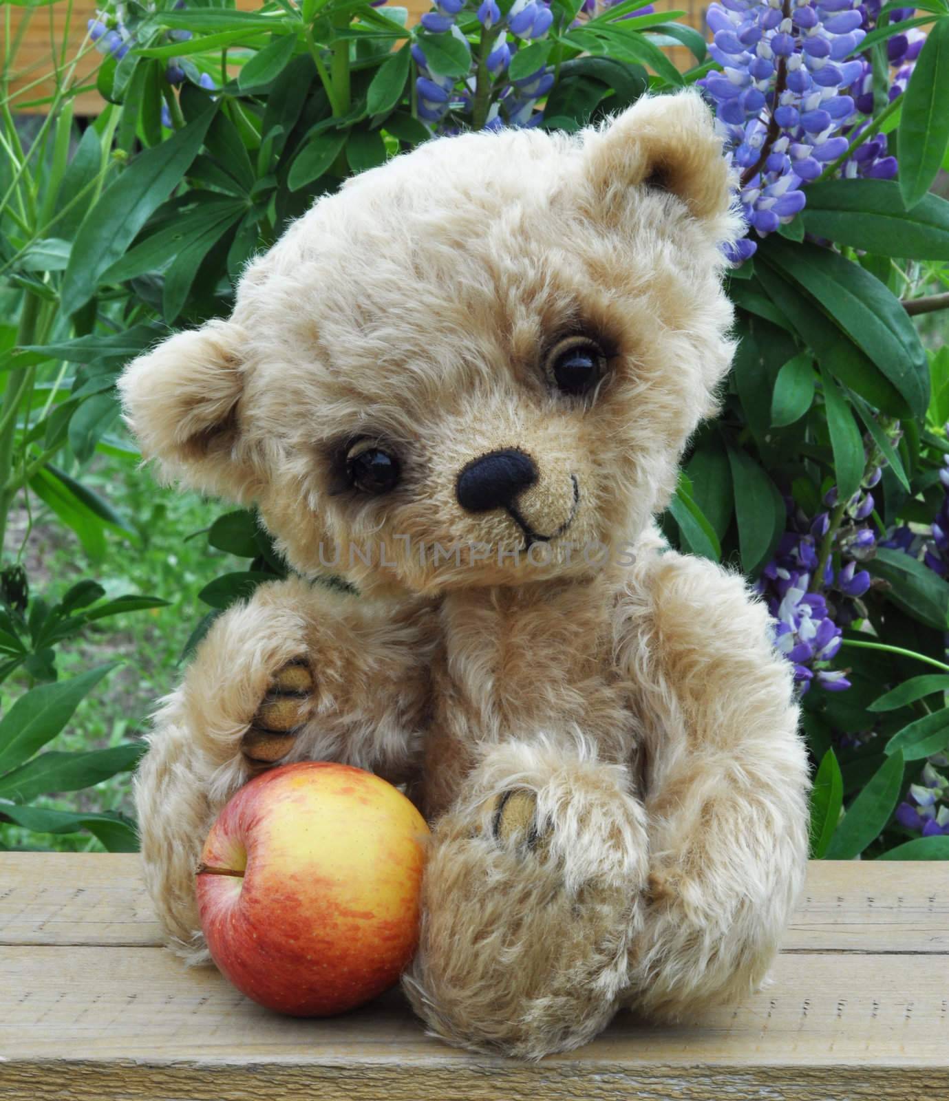 Teddy bear Lucky with apple by alexcoolok