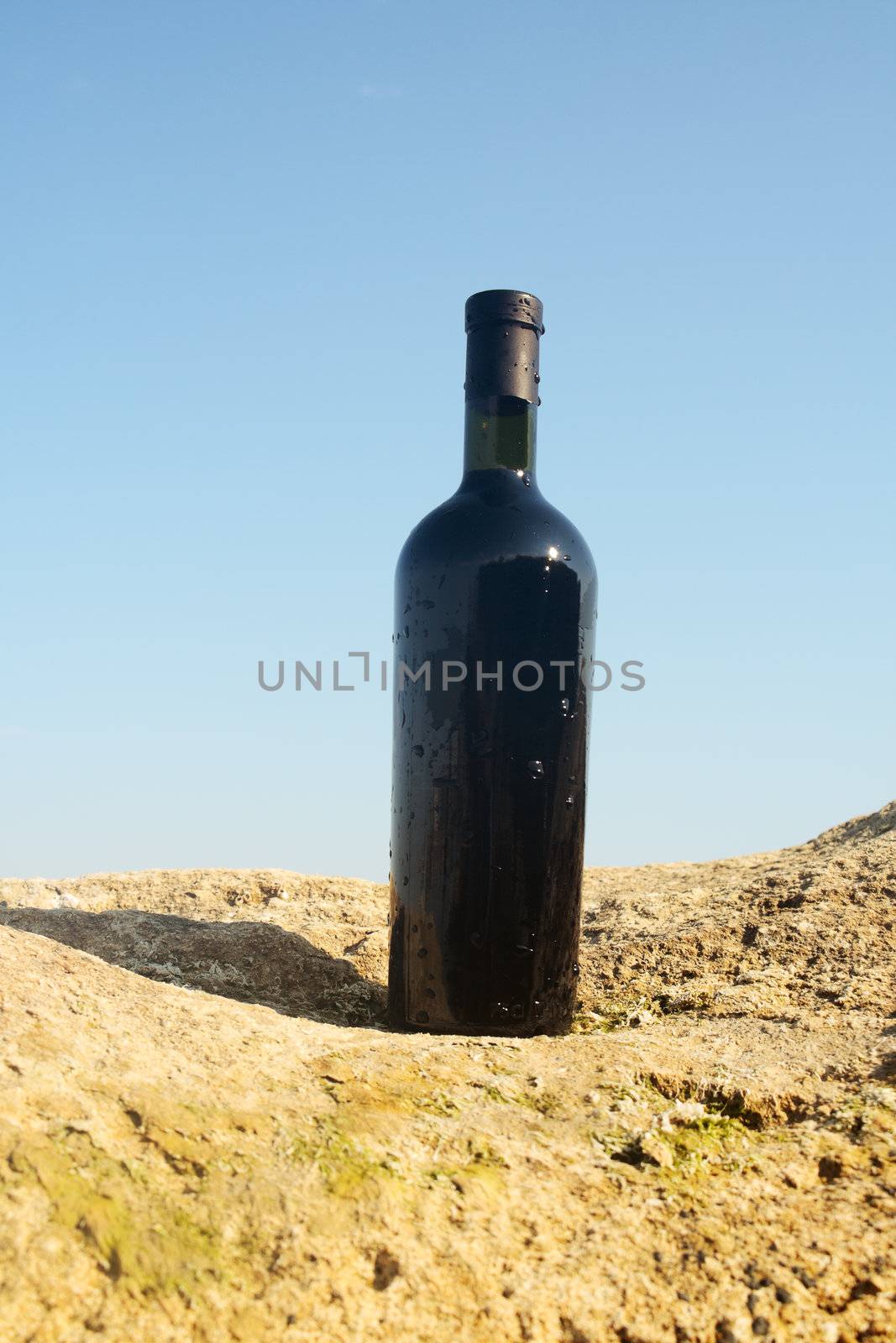 Wine in the bottle stands on a rock against the sky.