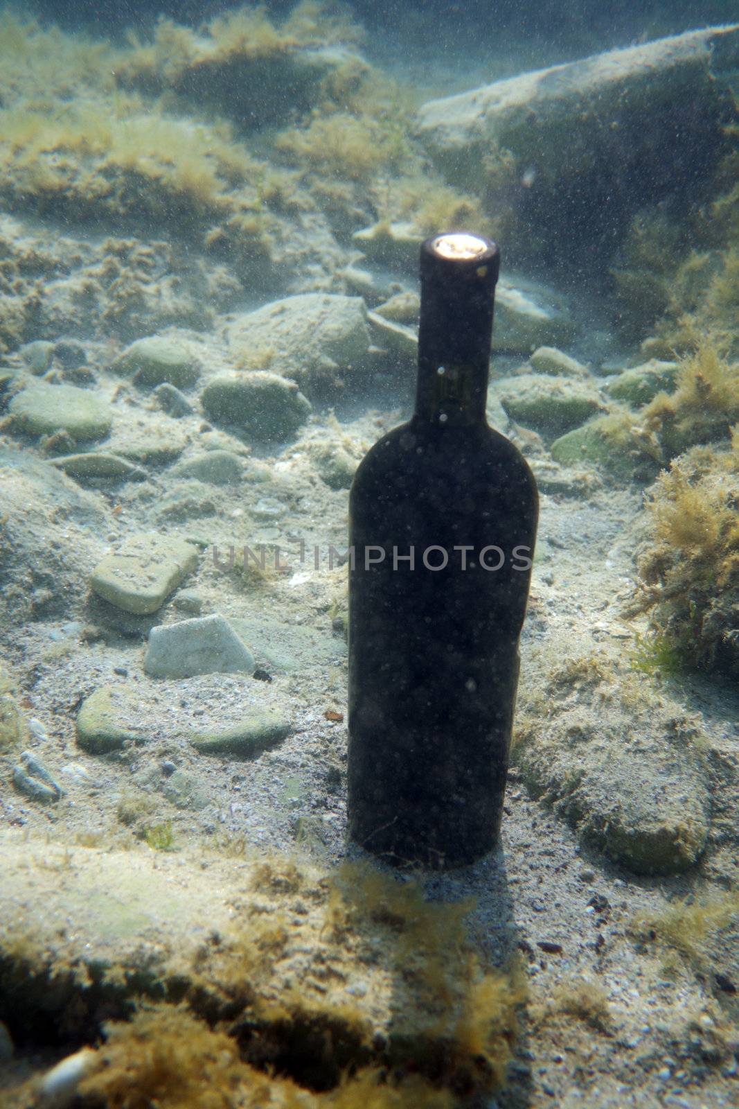 A bottle of wine under the water. by ekipaj