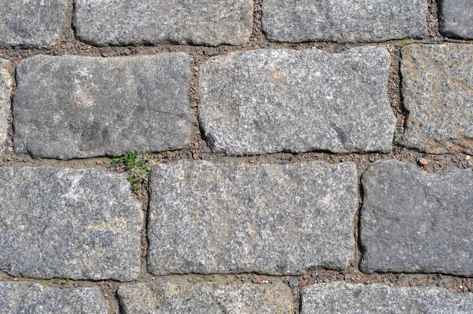 Stones of the roadway of the Red area, Moscow, Russia