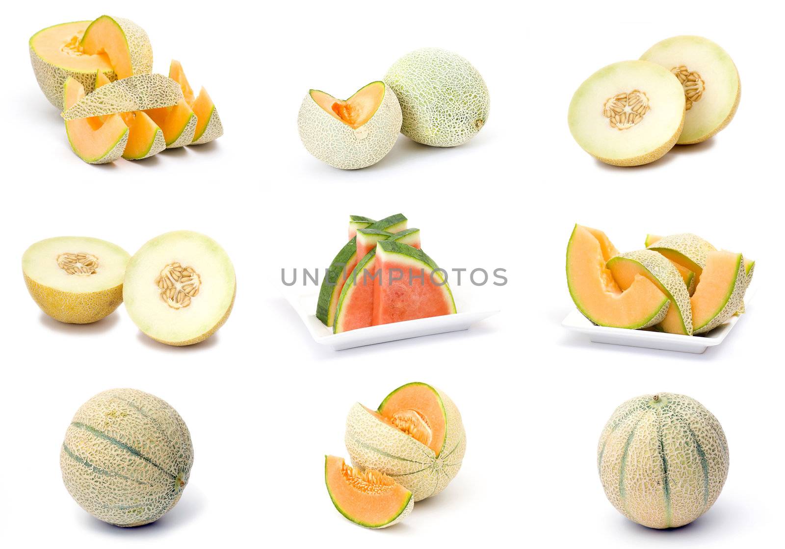 collection of fresh melon fruits