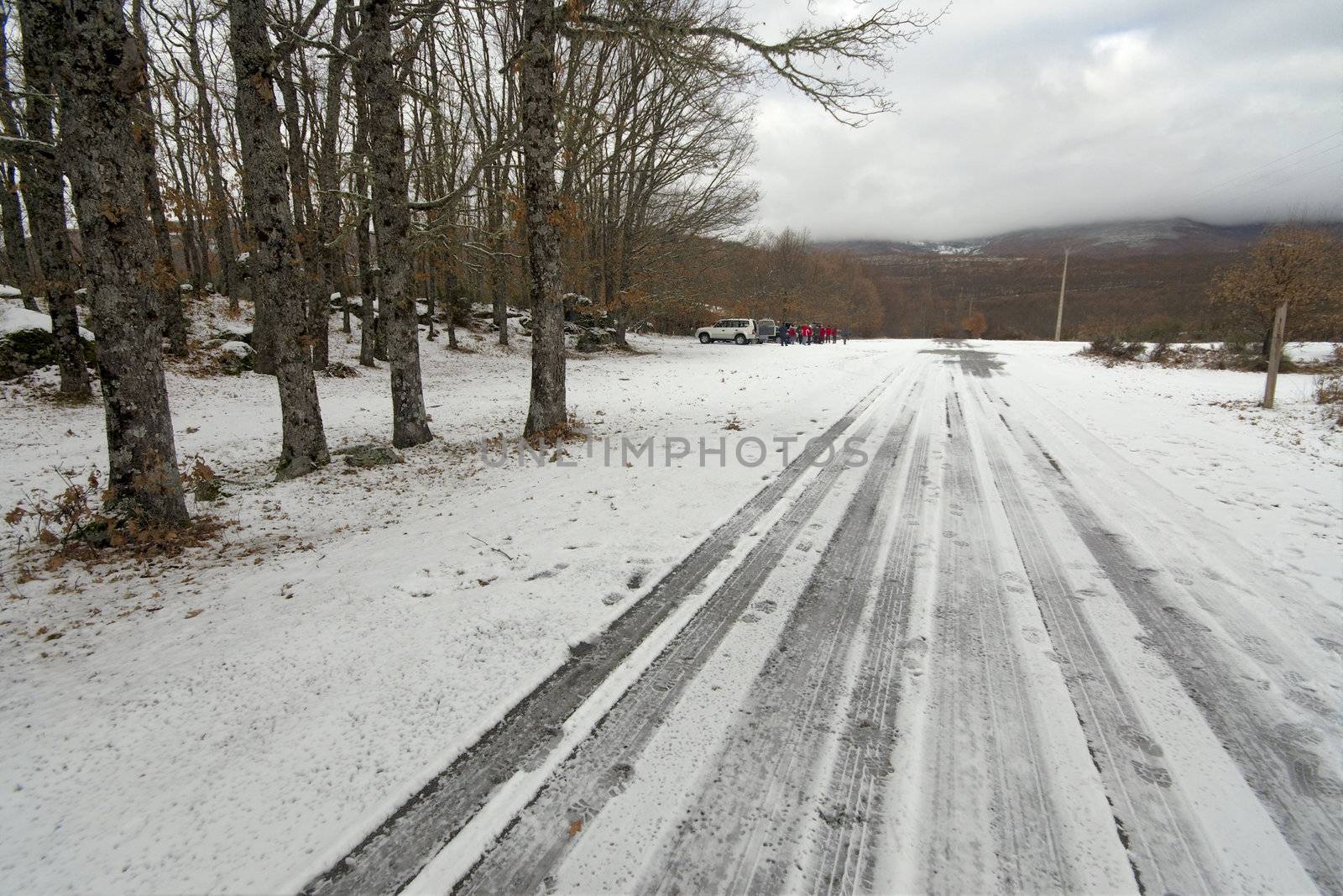 Snowy path by t3mujin