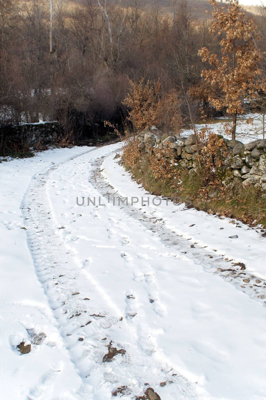 Countryside road covered with snow