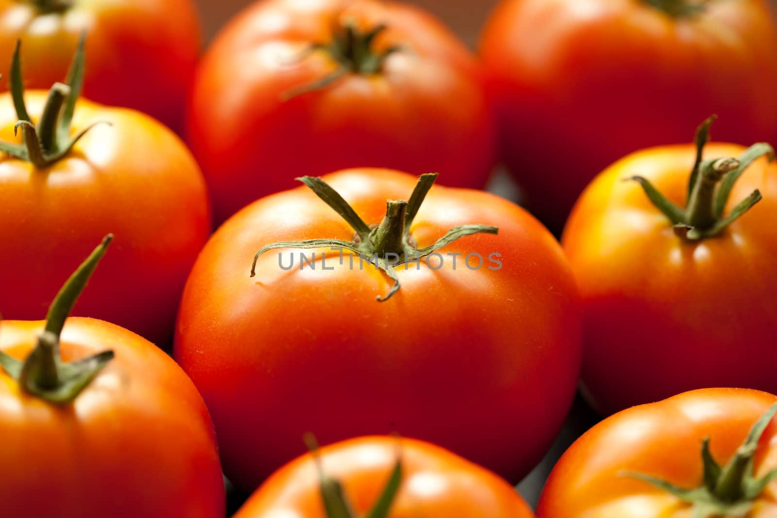 Many of ripe red tomatoes close up