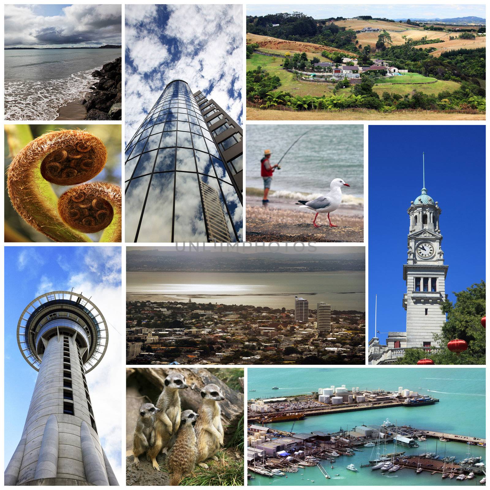 Collage from 6 photos city Auckland. New Zealand