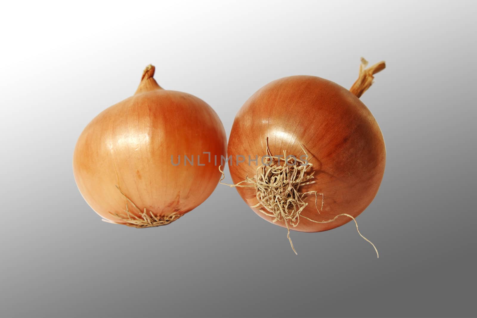 Two onions close to black and white background.
