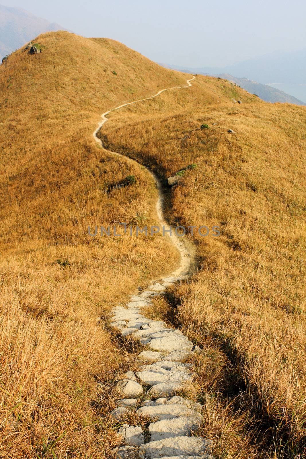 mountain path and yellow grass