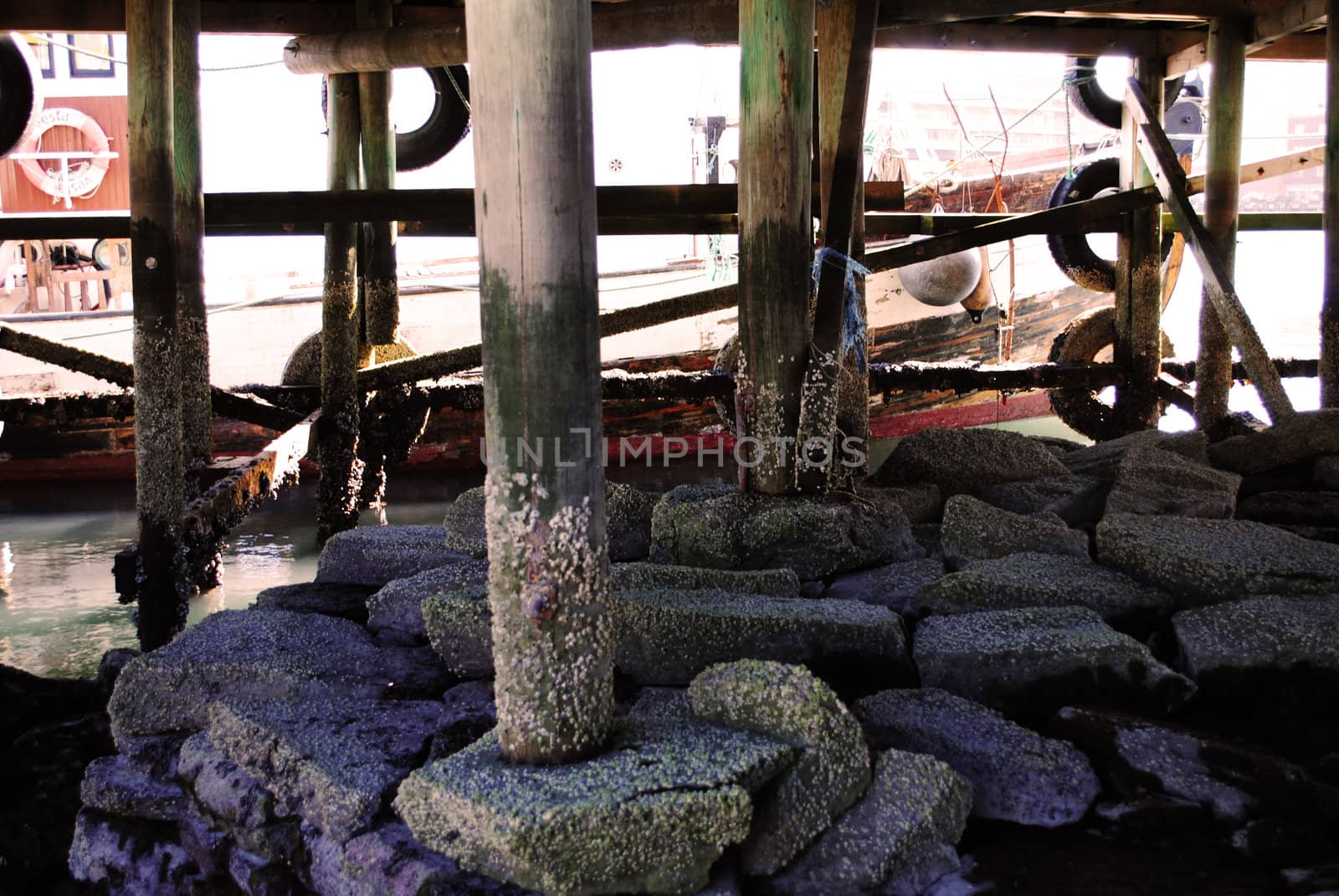 Underneath a pier.