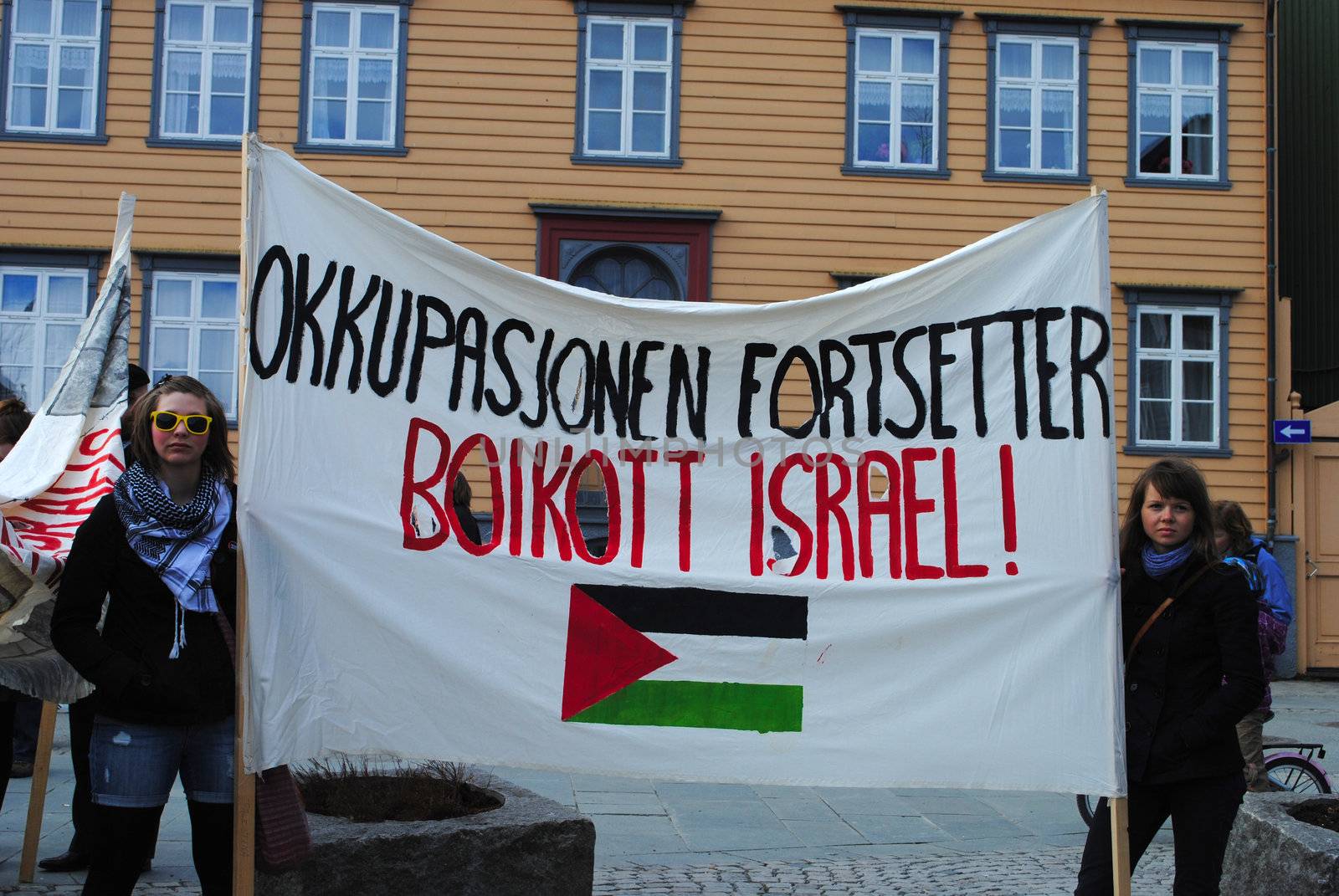 Norwegian Palestine solidarity activists.