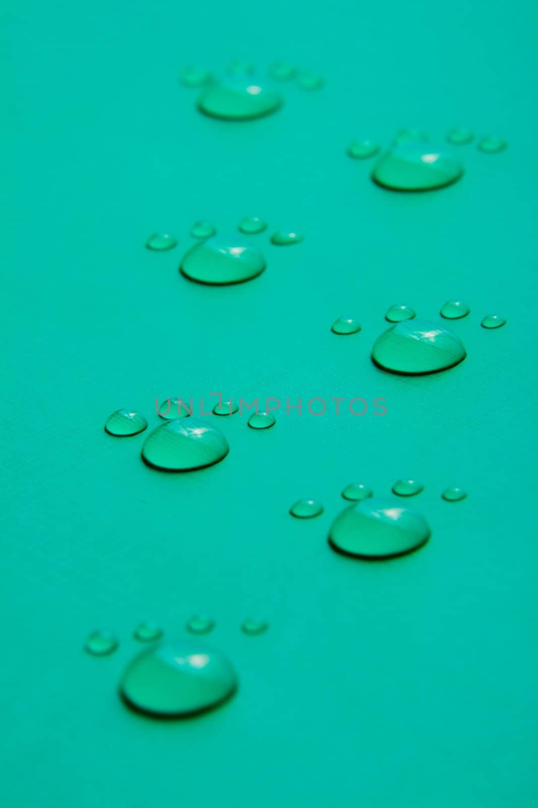Footprints accomplished on the basis of drops of water on a green background