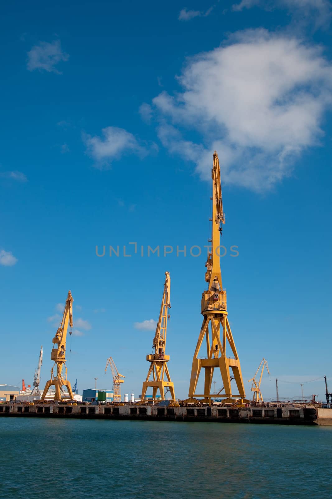 Cranes of the dockyards of Cadiz in a sunny day