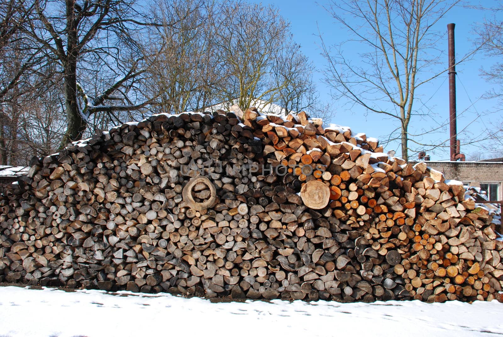 Firewood pile next to boiler house. by sauletas