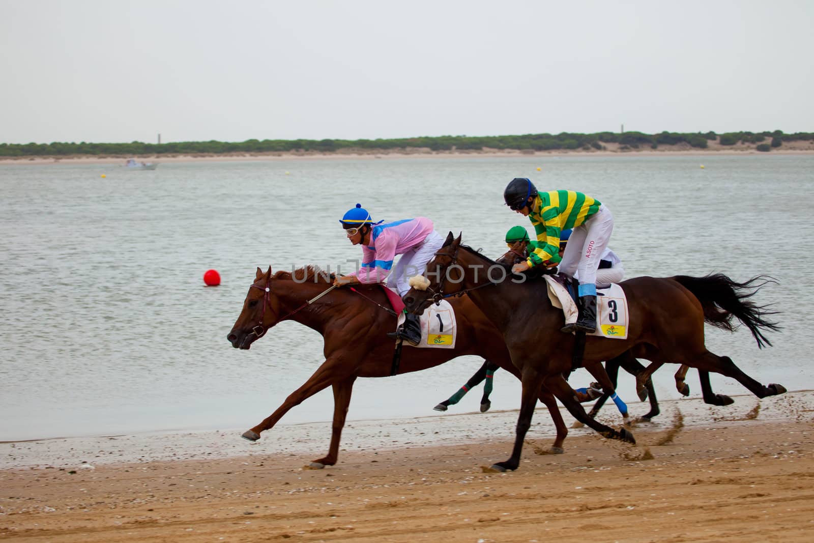 SANLUCAR DE BARRAMEDA, CADIZ, SPAIN - AUGUST 07: Horses races on August 07, 2010 on the beach of Sanlucar de Barrameda, Cadiz, Spain. The races of Sanlucar de Barrameda  are one of the most important horses races of the world