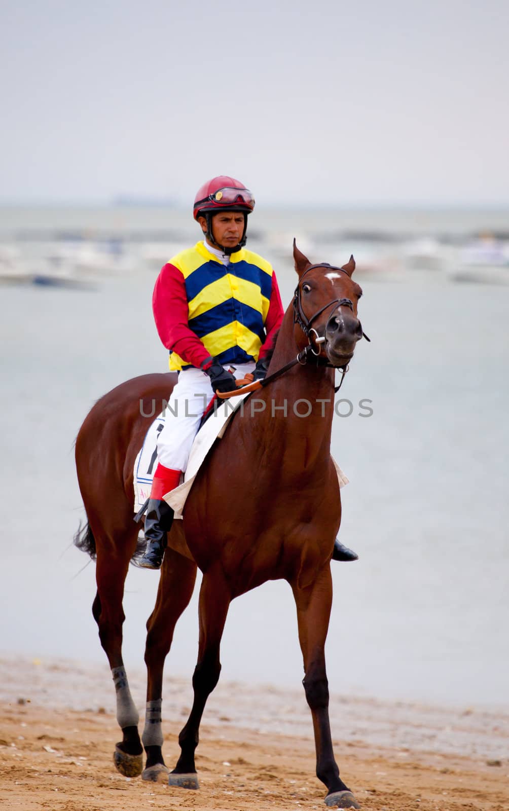 SANLUCAR DE BARRAMEDA, CADIZ, SPAIN - AUGUST 07: Horses races on August 07, 2010 on the beach of Sanlucar de Barrameda, Cadiz, Spain. The races of Sanlucar de Barrameda  are one of the most important horses races of the world