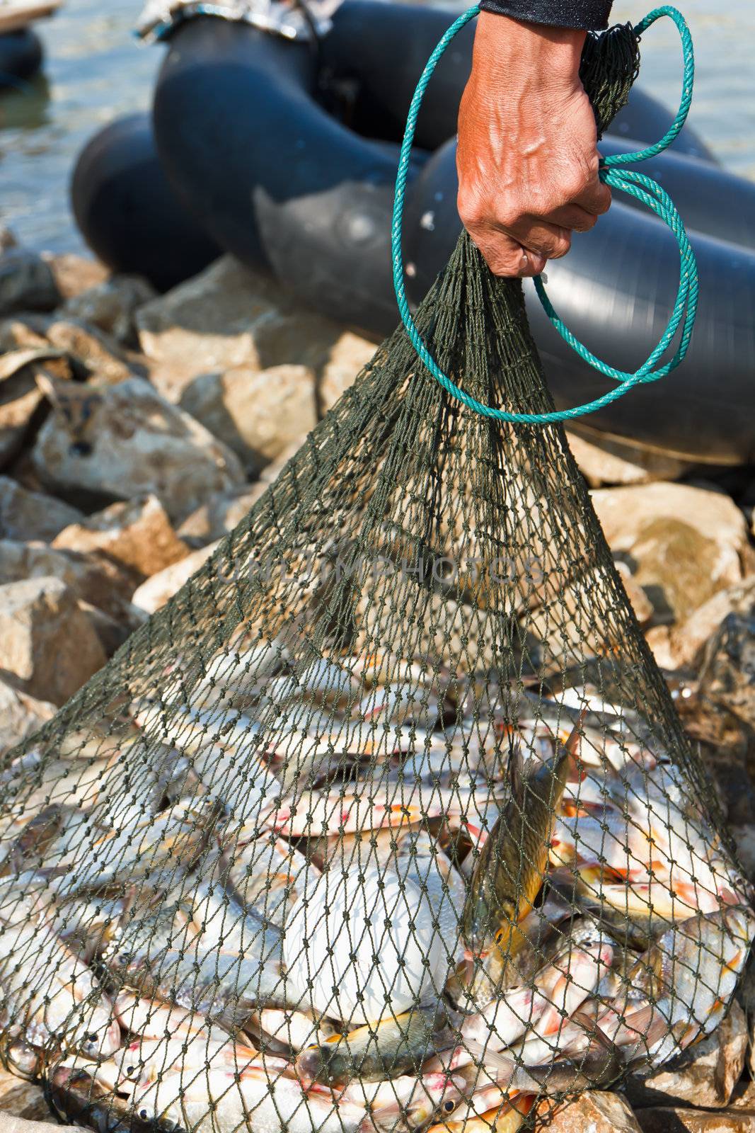 fisherman hold fish in net