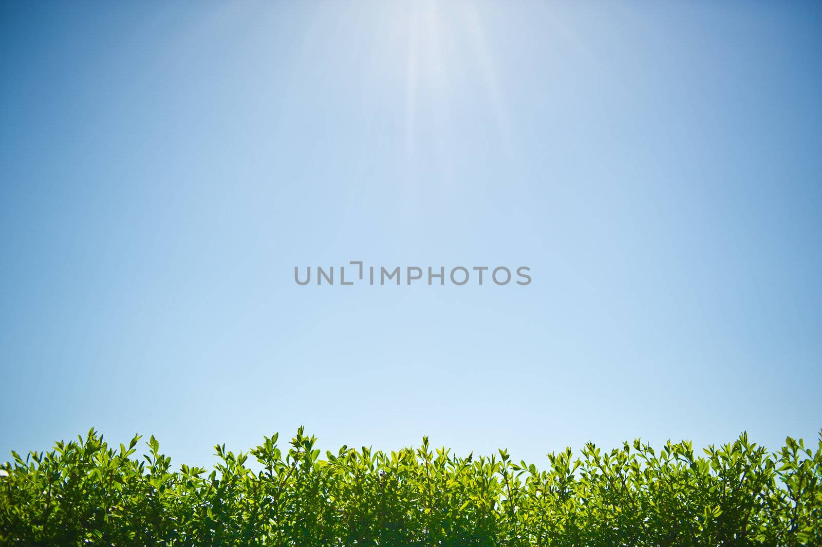 Bright blue sky on a hot sommersday