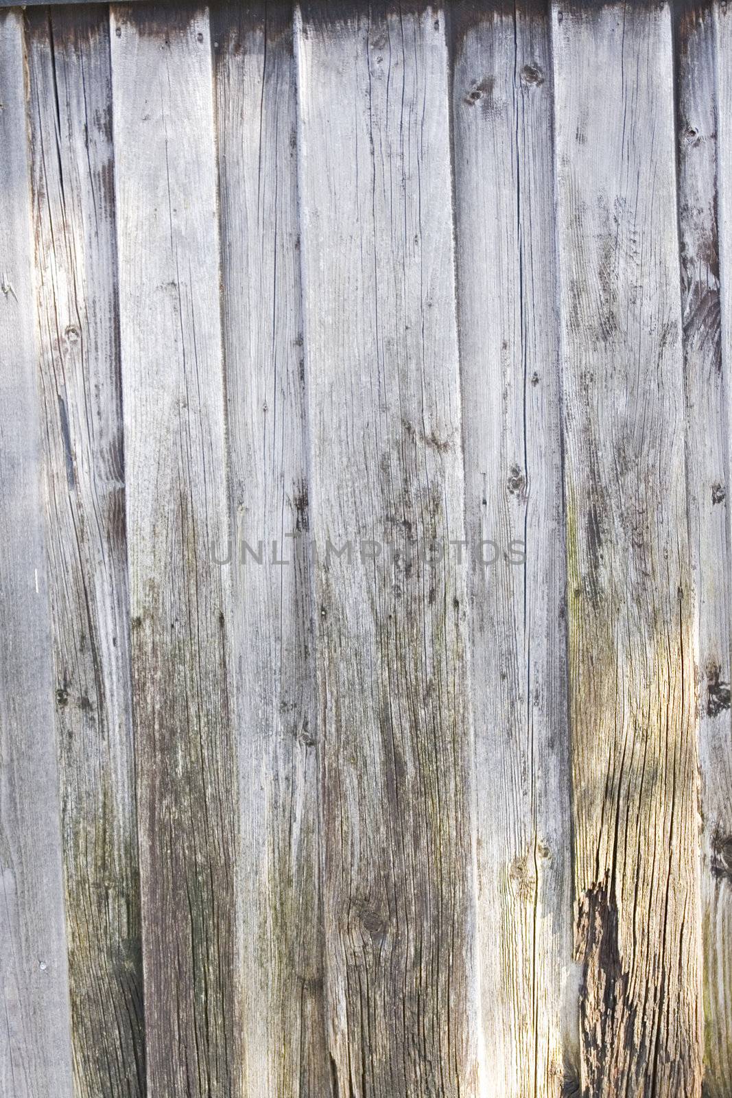 Beautiful old wooden wall as background