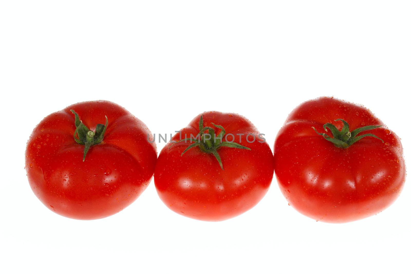 red tomatos photo on the white background