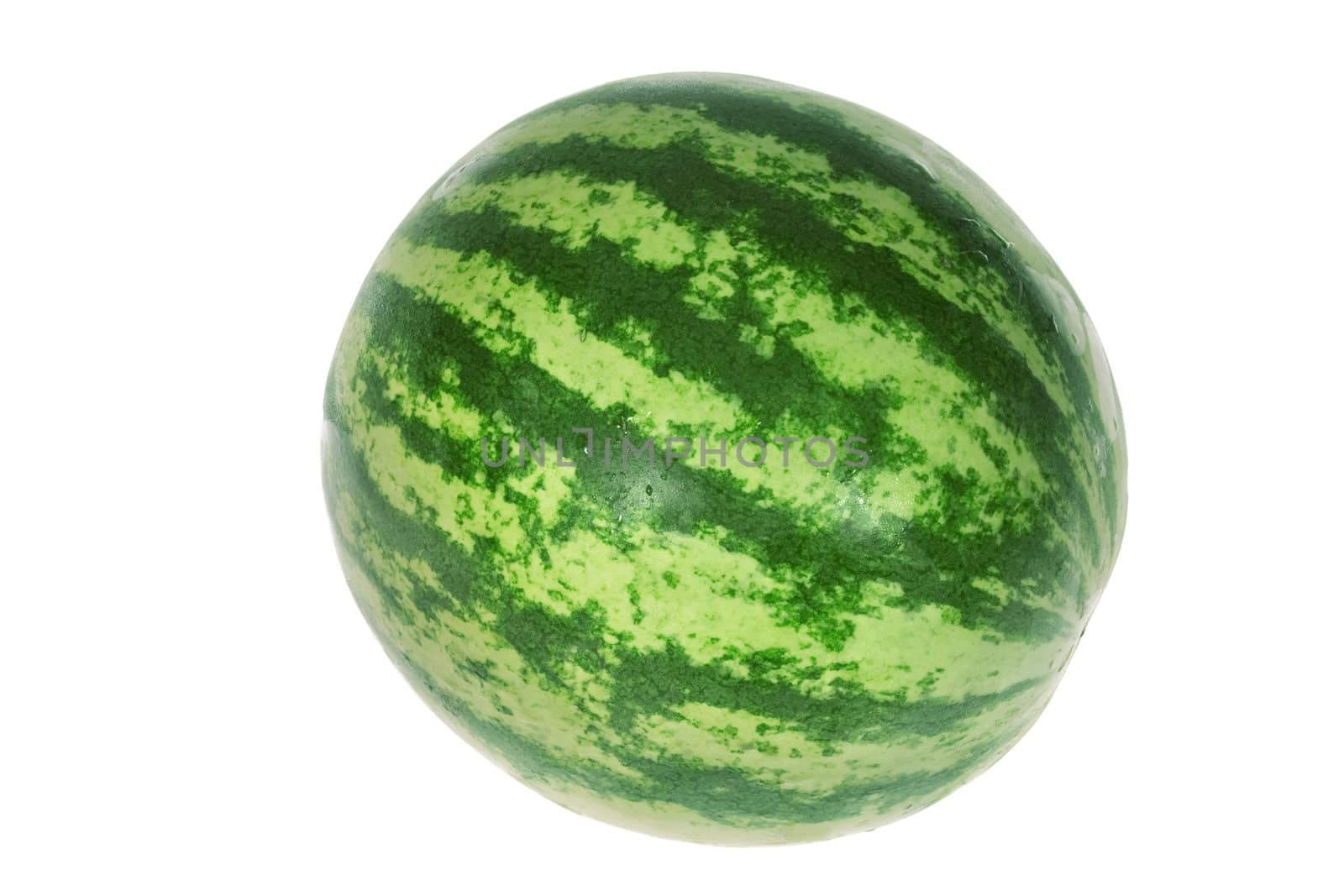 One Watermelon, photo on the white background 