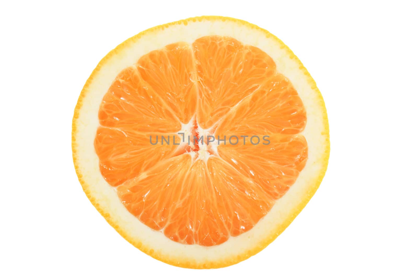 orange slice, photo on the white background