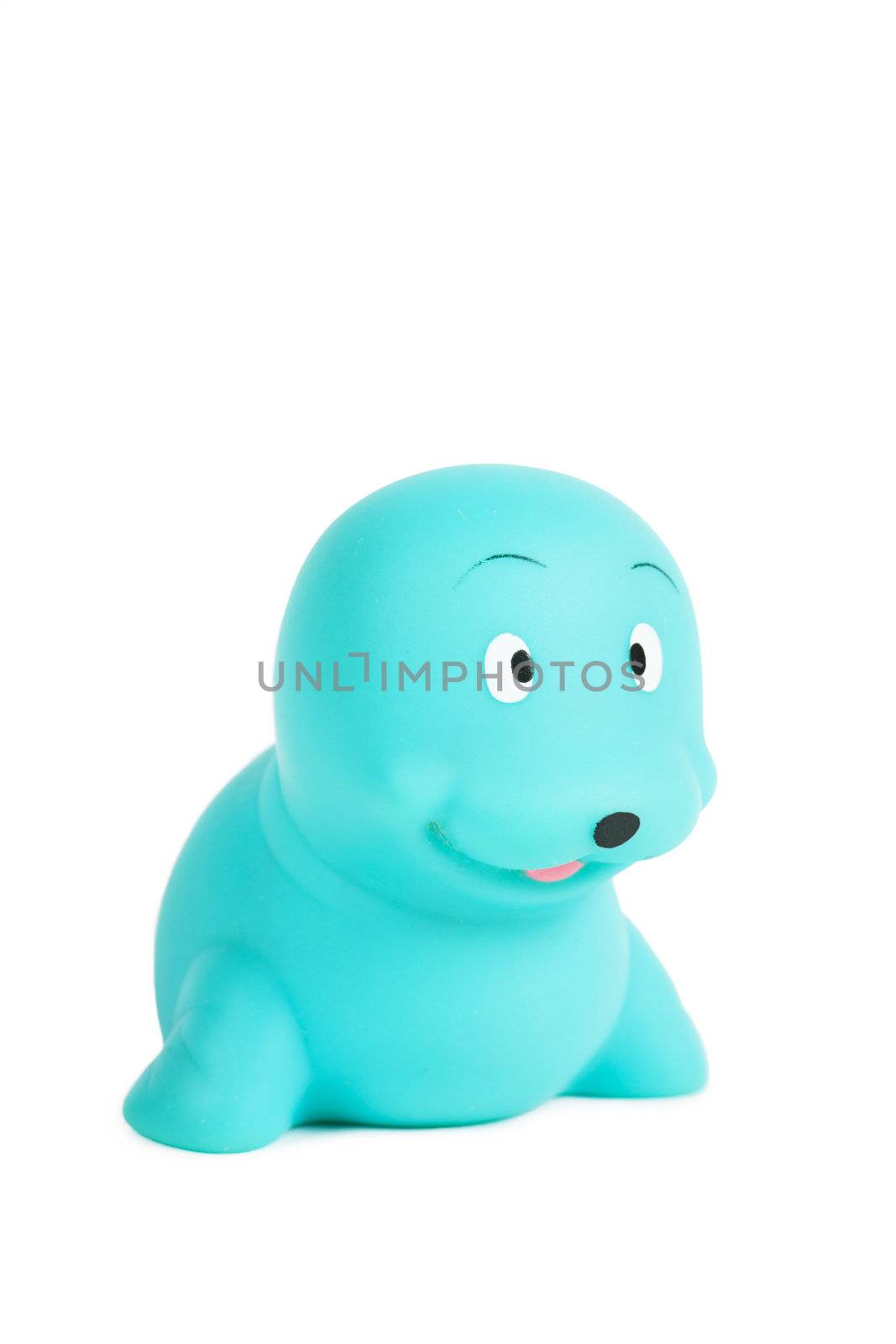 Blue rubber sea bear isolated over white background