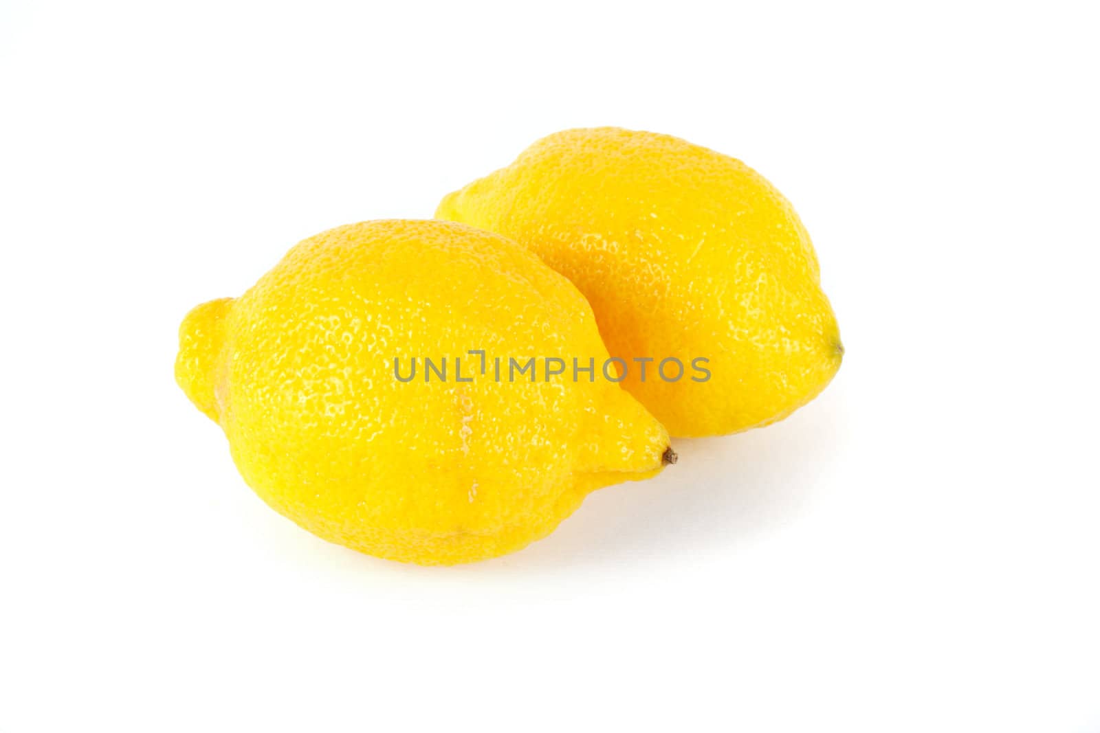 two lemons on the white background foto in studio