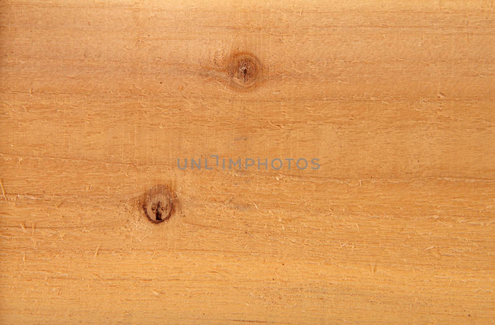 Natural Pine Wood Texture the abstract background