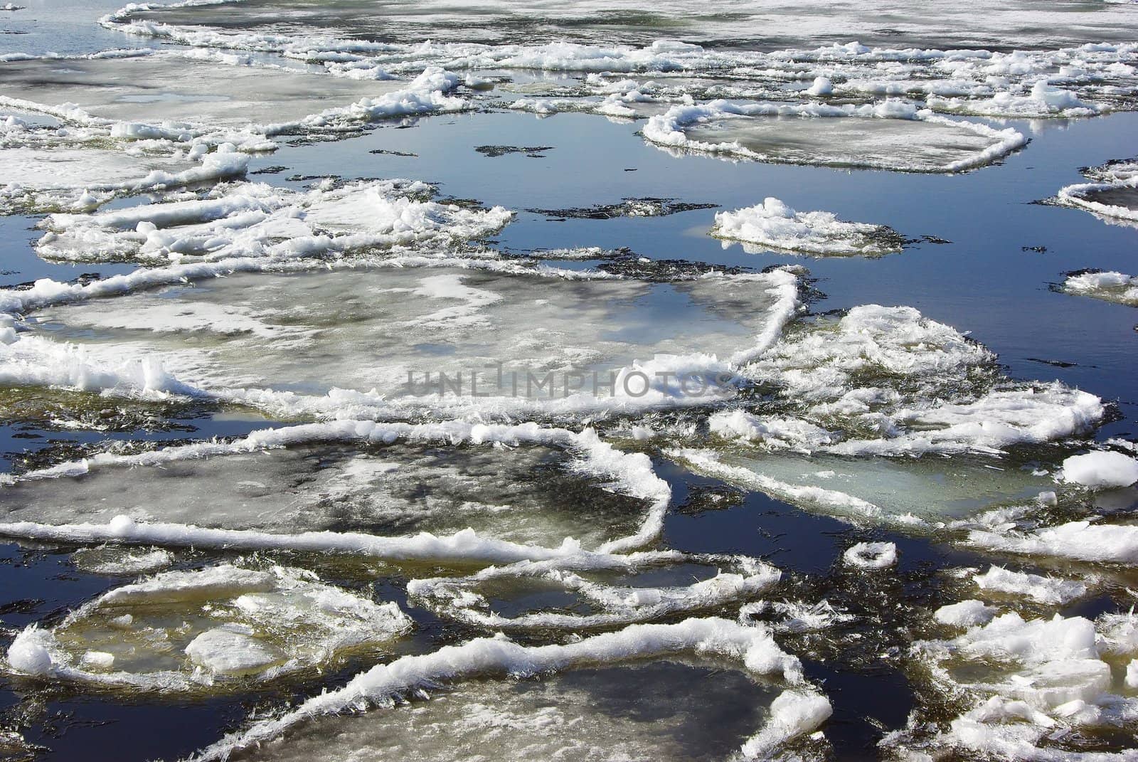 Floating of ice on Neva river in spring