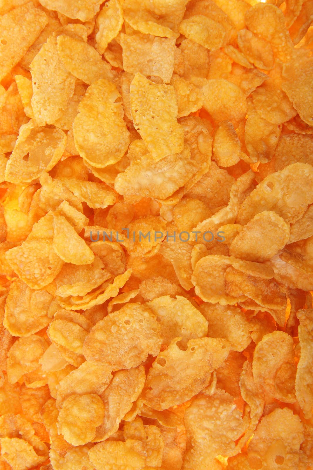 Close-up of corn flakes healthy diet breakfast background