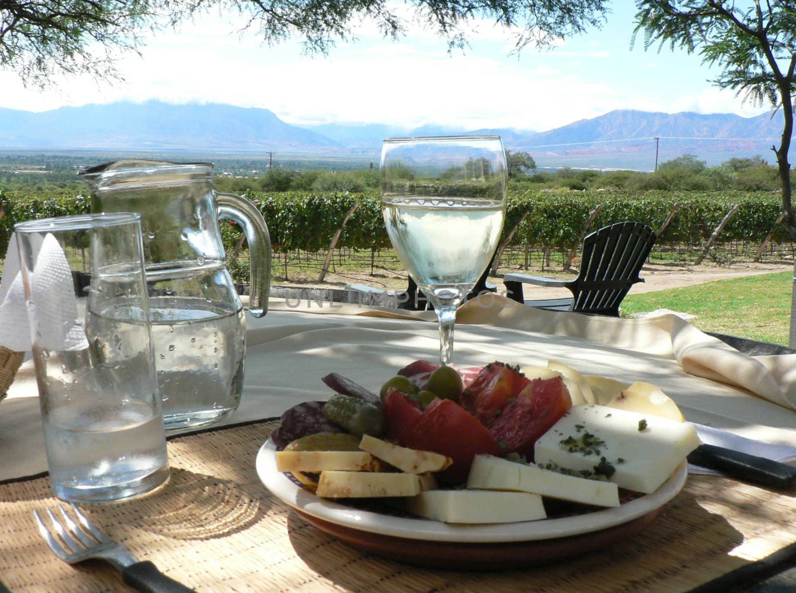 Tasty meal on table outdors in a vineyard in Argentina