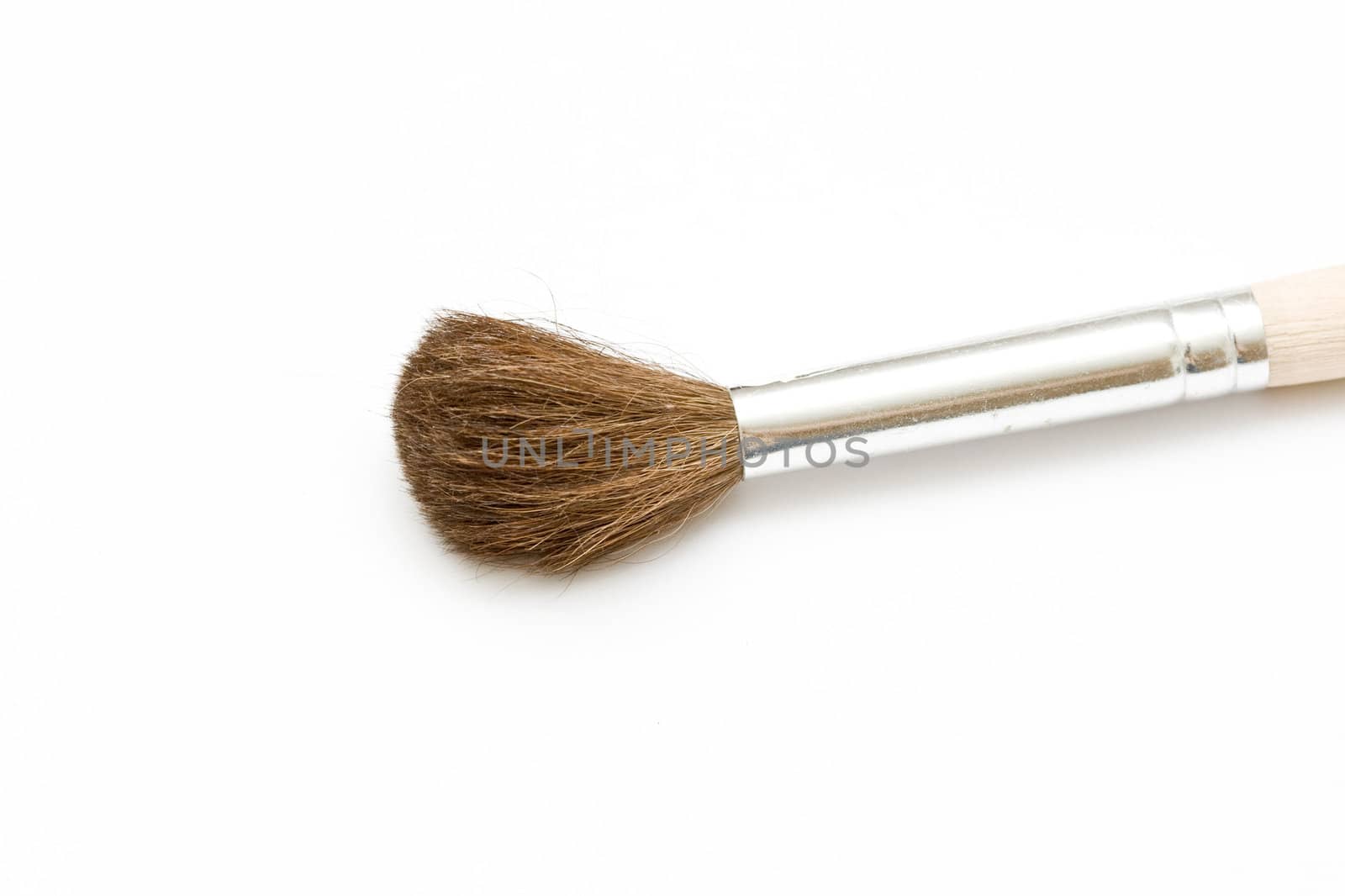 proffesional brush on neutral background (squirrel)