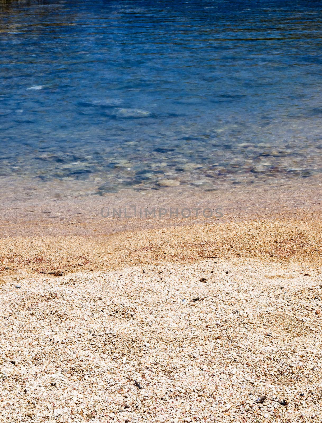 Detail of the waters edge on a tropical beach reef