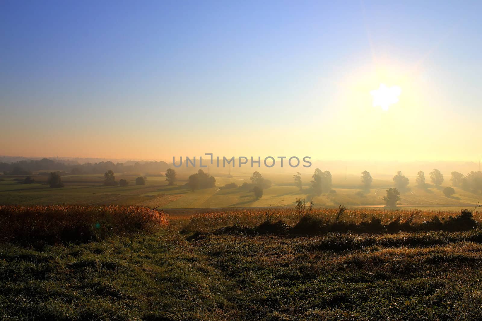 Morning sun and fog