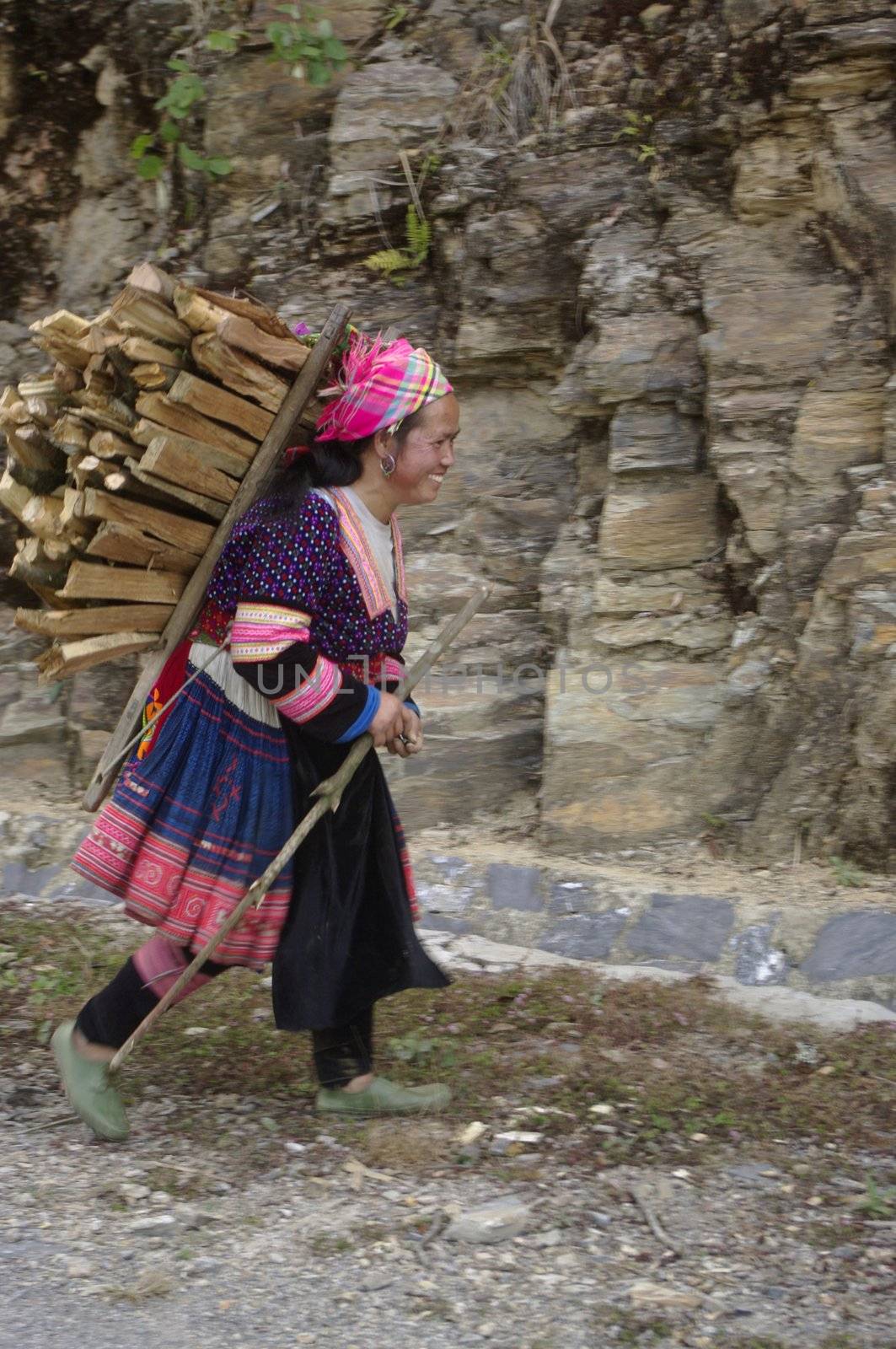 Hmong flowered woman returning from the firewood in the mountains. This woman is  able to carry heavy loads over steep trails of the mountain for wood supply in the kitchen