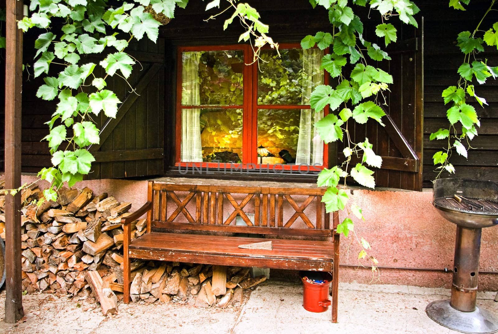 Cottage in the country in summer by Colette