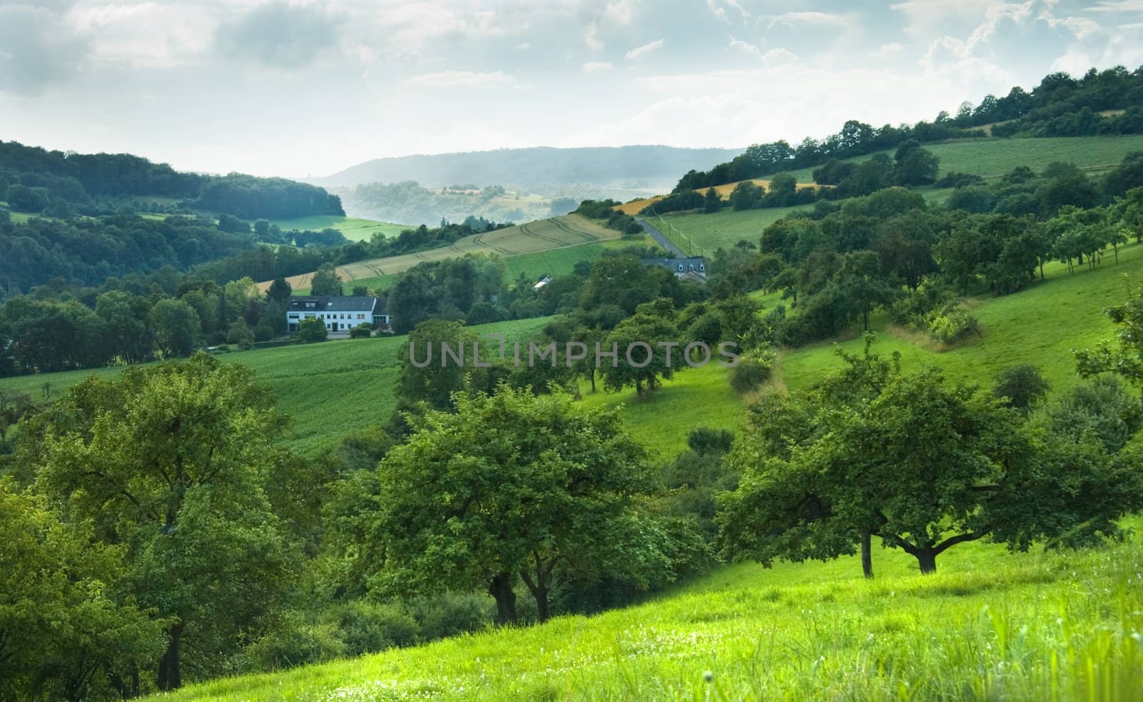 Landscape view on the green hills of Luxembourg, Europe in summer