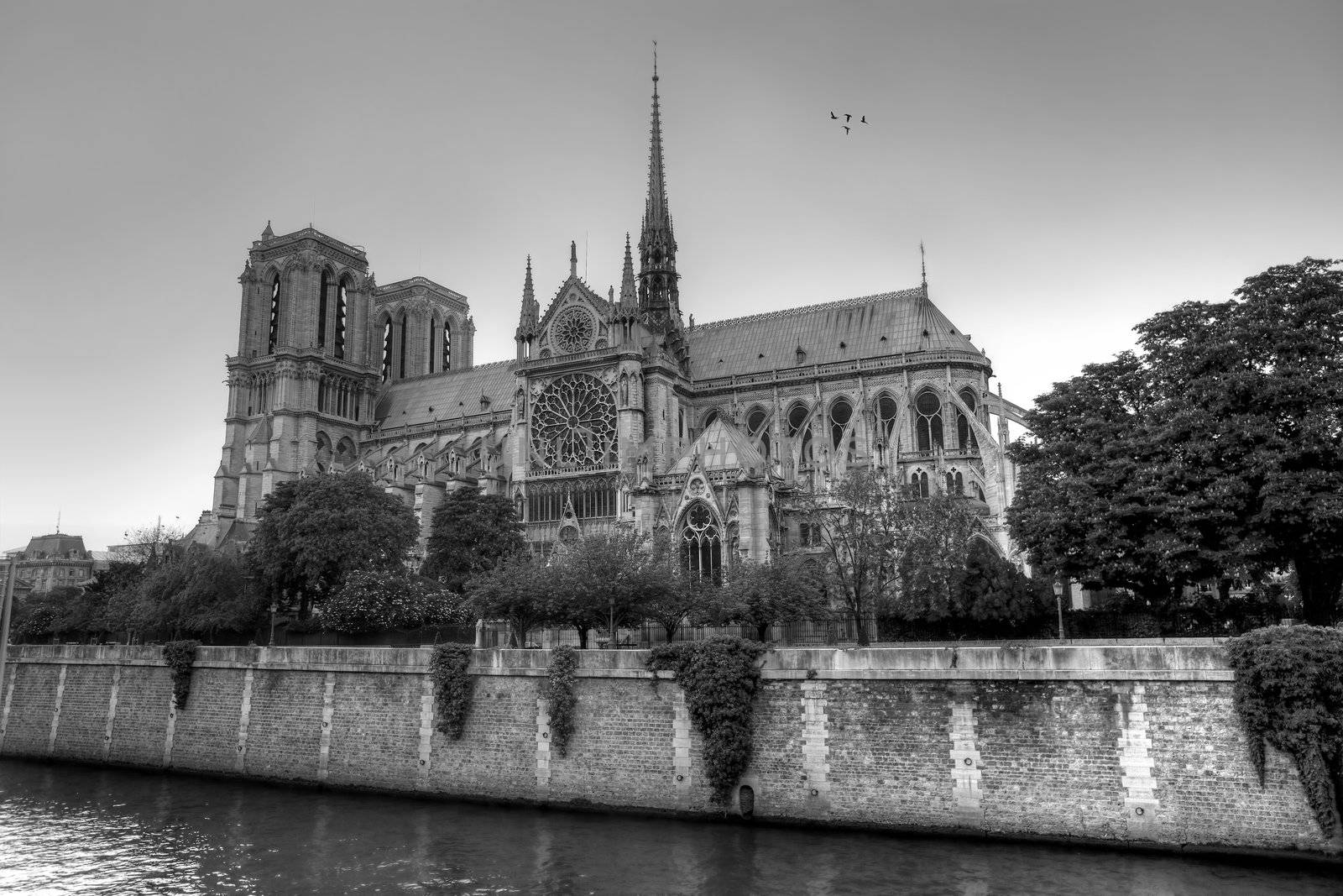 Notre dame da Paris seen from across the Seine river