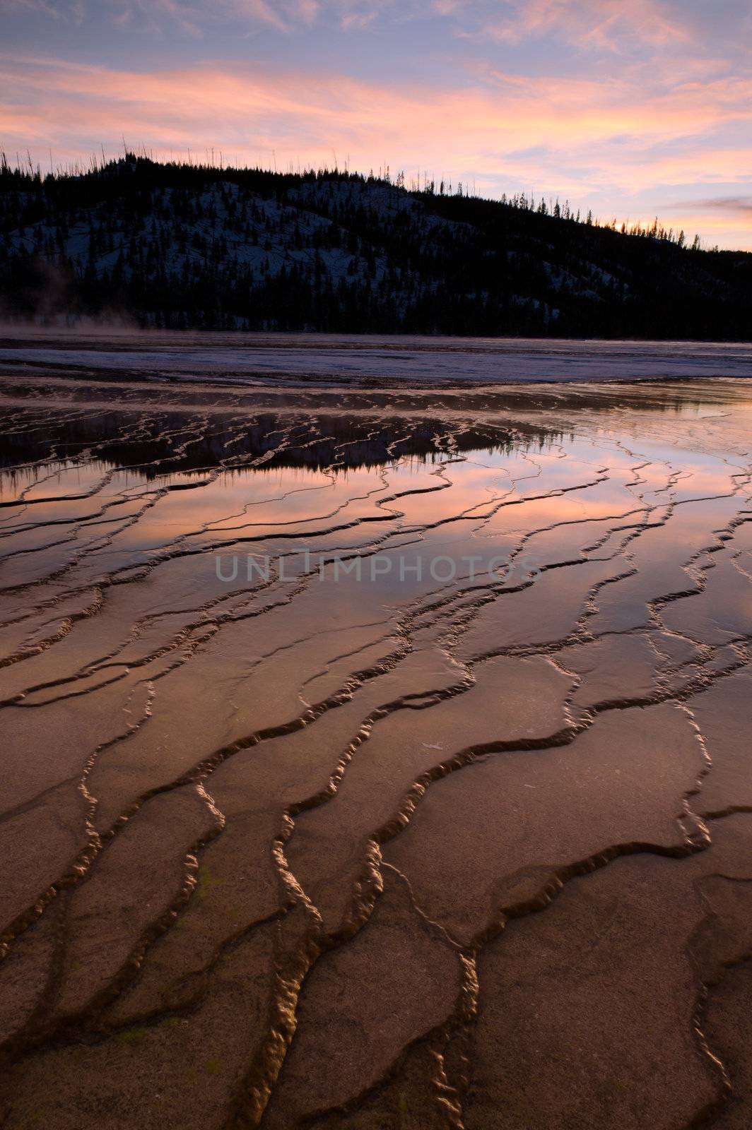 Geyserite patterns and a forested ridge at sunset, Grand Prismatic Spring, Yellowstone National Park, Wyoming, USA by CharlesBolin