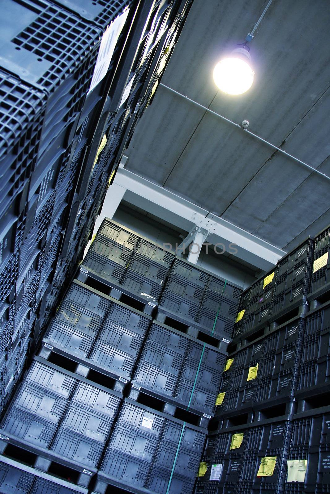 in the warehouse with big pallettes and boxes