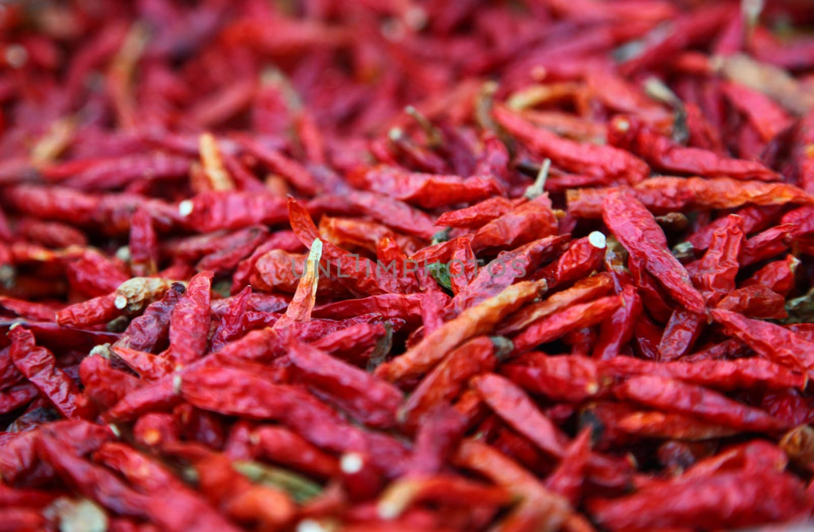 Red And Dried Chili Peppers by nfx702