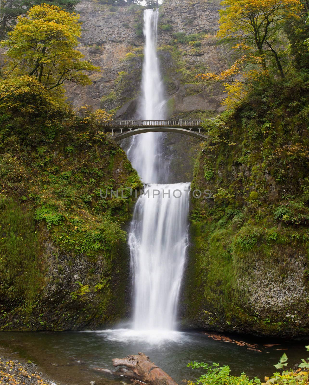 Multnomah Falls at Columbia River Gorge Oregon in Fall