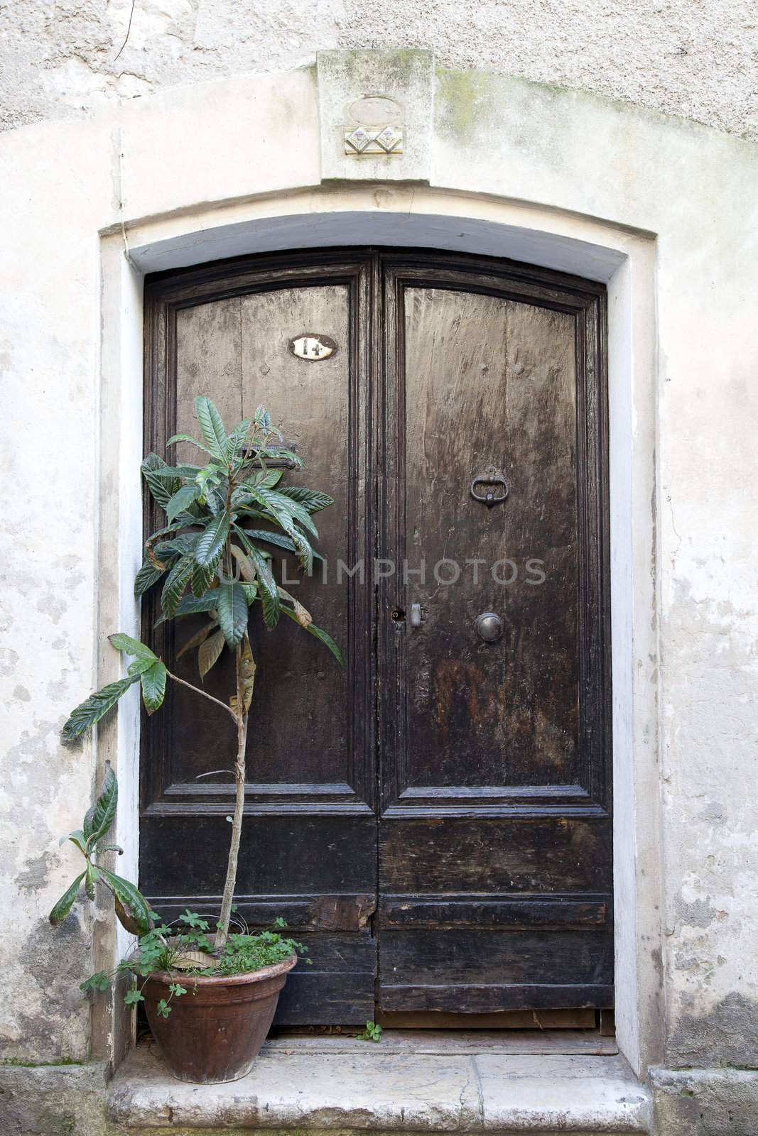 Old Wooden Door by charlotteLake