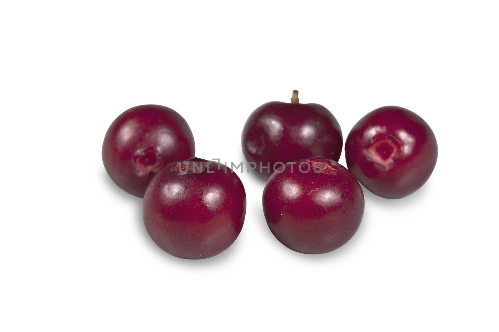 Berry cranberries isolated on white with clipping path