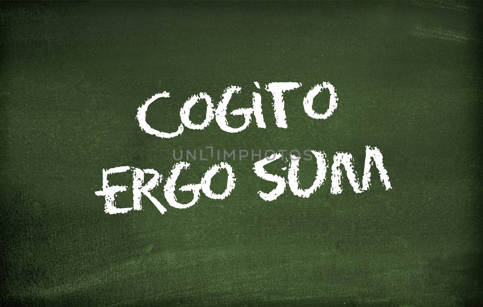 Cogito ergo sum