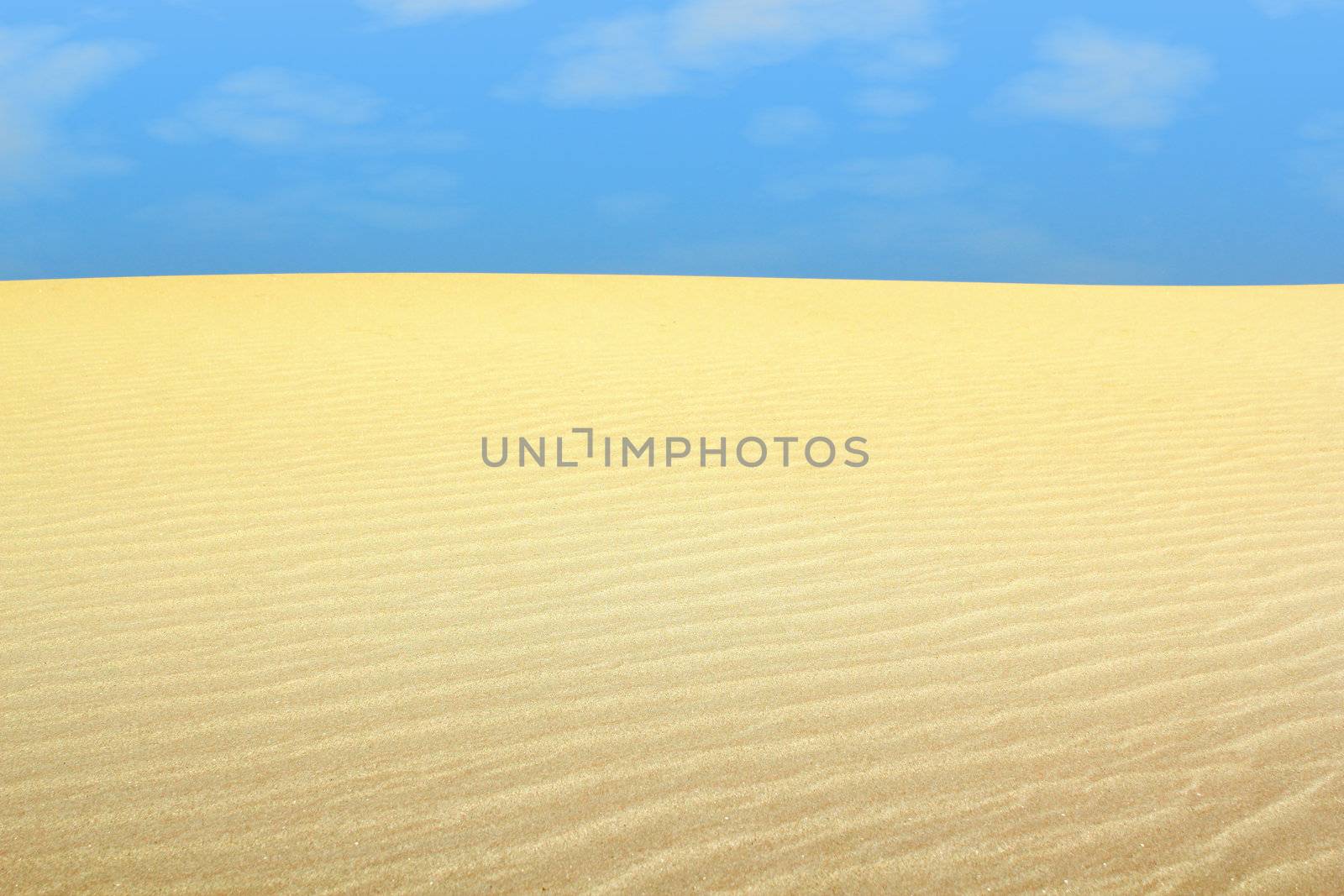 desert landscape by goce