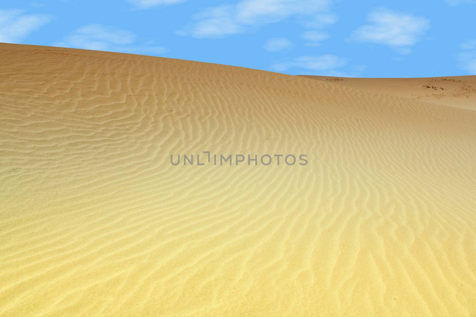 sand dune desert by goce